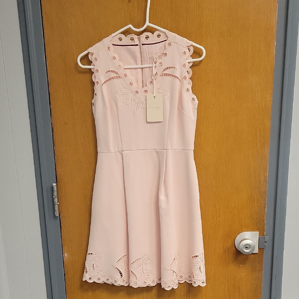 Ted Baker Light Pink Dress with Embroidered Details